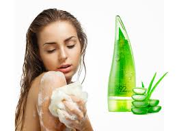 Set de productos de Aloe vera / Gel multiuso calmante e hidratante + Gel de ducha + Gel limpiador facial